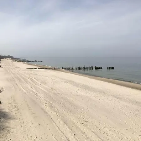 Siesta Sunny Apartment *