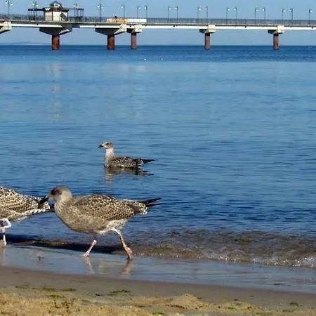 Apartamento Siesta - Sunny *